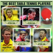 Спорт Лучшие игроки в настольный теннис